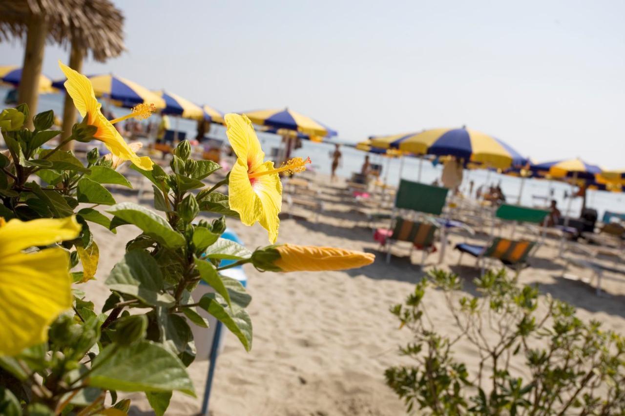 Hotel-Residence-B&B Le Dune Beach Service Included Lido Adriano Eksteriør bilde
